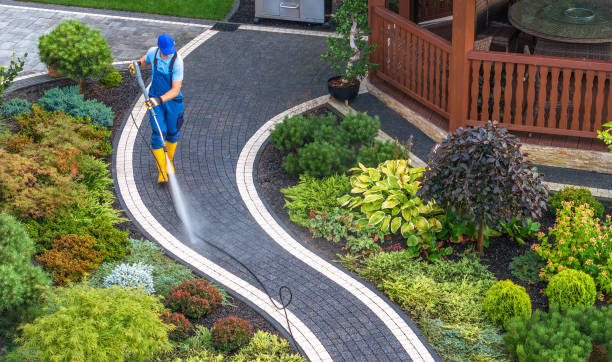 Best Local Pressure Washing Services  in Elwood, IN